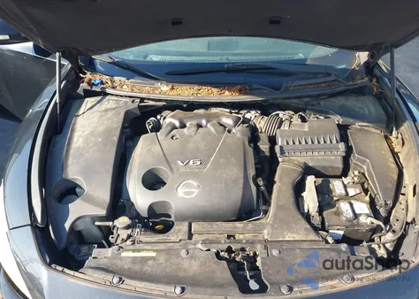 2011 Nissan Maxima 3.5 Sv z USA, uszkodzony, nr VIN 1N4AA5AP7BC821081